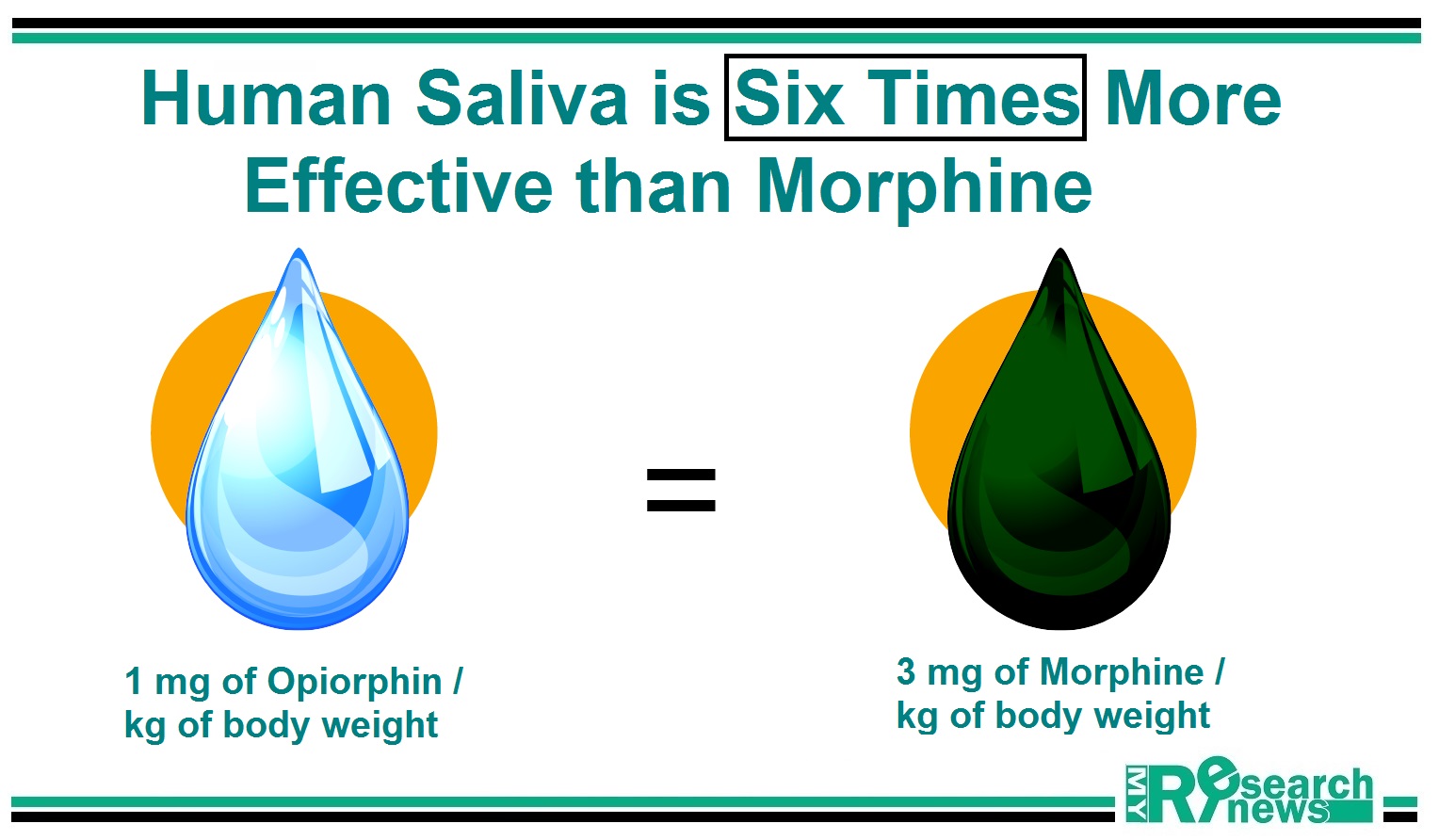 Human saliva is six times more effective than morphine – research proved